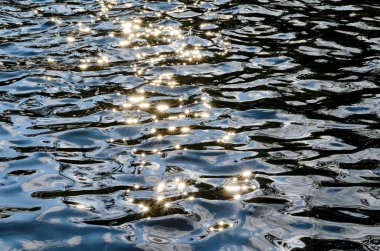 Doku sakinleştirmek karanlık su yüzeyi ile vurgulamaktadır 