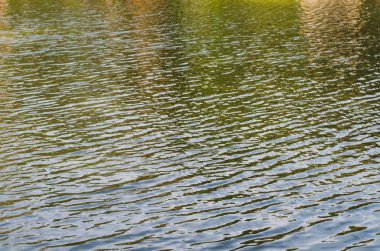 Doku sakinleştirmek karanlık su yüzeyi ile vurgulamaktadır 