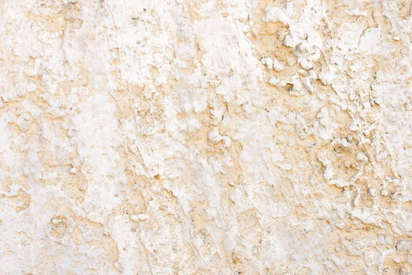 Gris blanco abstracto estuco recubierto de cemento pared fondo textura — Foto de Stock