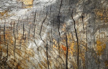 Doğal yıpranmış düğümlü ahşap arka plan üzerinde derin çatlaklar ile Üstten Görünüm