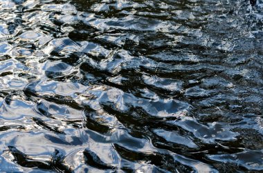 Doku sakinleştirmek karanlık su yüzeyi ile vurgulamaktadır 