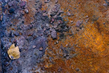 Arka plan bir paslı eski demir metal levha, turuncu ve kahverengi renkleri