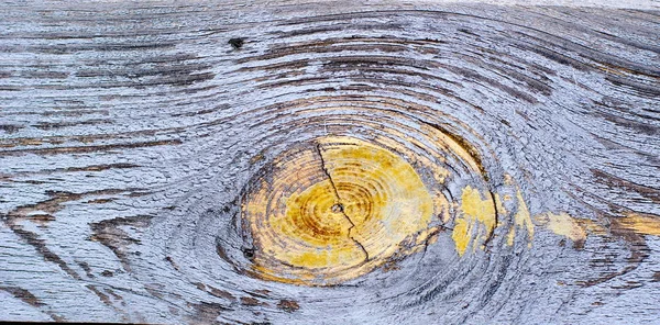 Rustika trästaket textur bakgrund av Naturbrun och skrika — Stockfoto