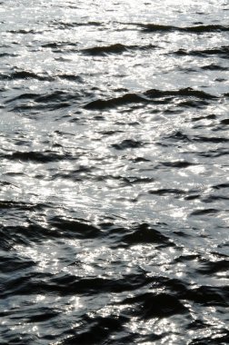 Doku yapraklara tonda parlak güneş köpekleri, mavi yapma günbatımında yansıtan sakinleştirmek güneş benekli nehir su