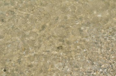 Berrak deniz suyu öğlen güneşin altında köpüklü dalgaların. Sakinleştirmek su alt kum ve su altında görülen kabukları ile