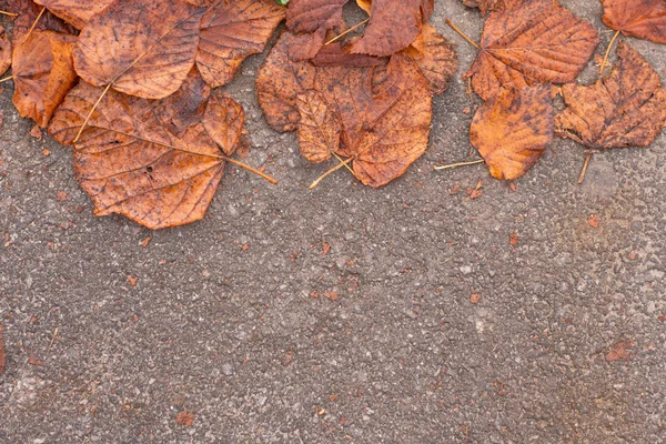 Laranja folhas de outono na estrada de asfalto . — Fotografia de Stock