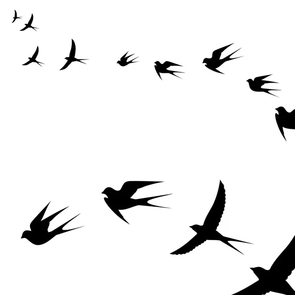 飛ぶ鳥の群れ — ストックベクタ