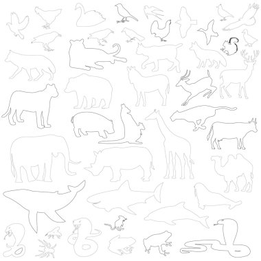 hayvan siluetleri seti