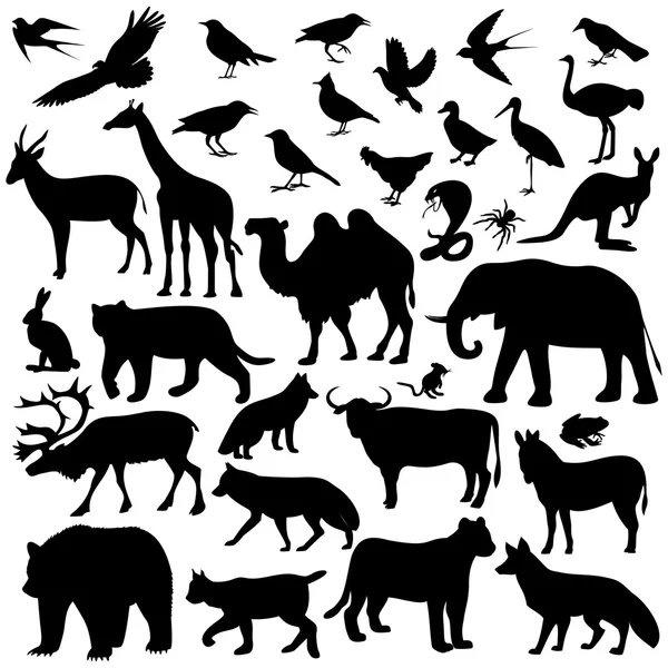 Animal world image — Stock Vector