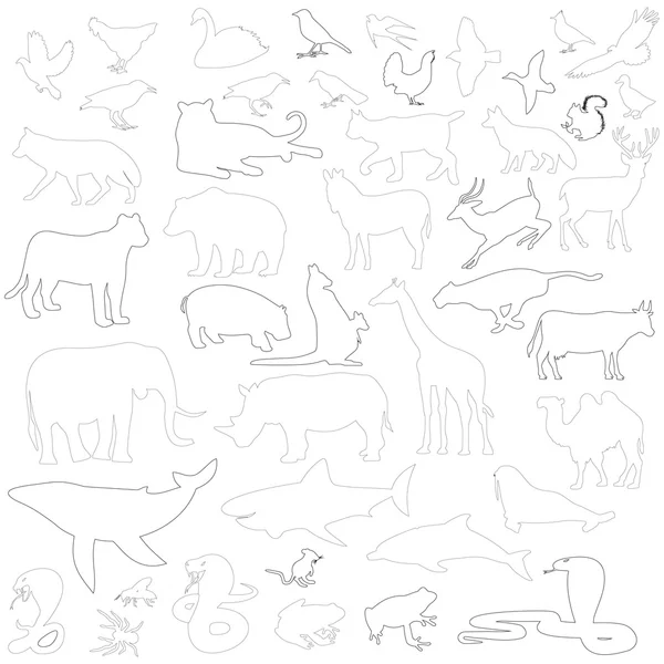 Animal silhouettes set — Stock Vector