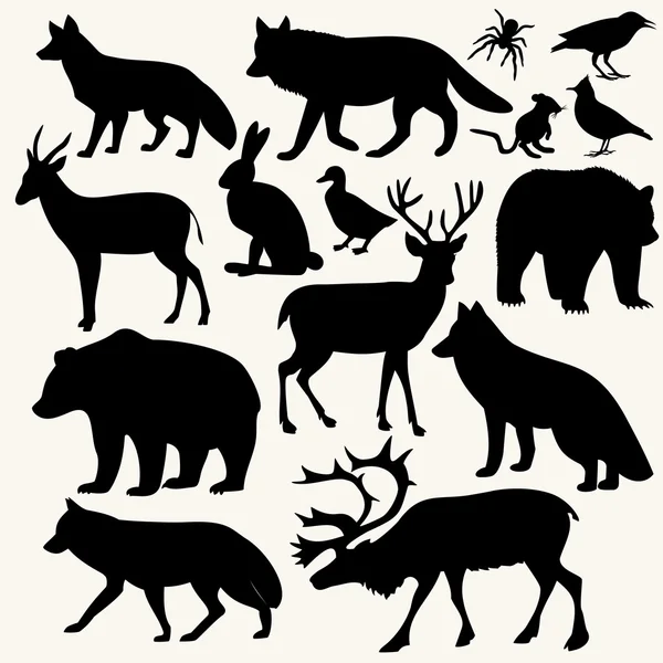 Animals in the forest — Stock Vector