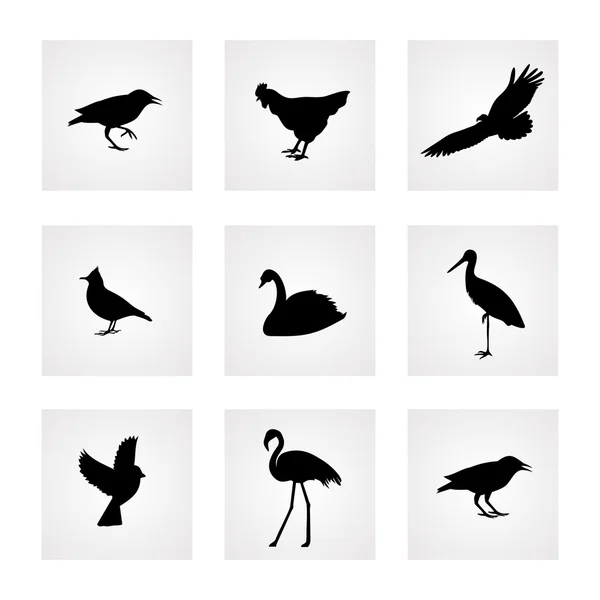 Aves iconos vector — Archivo Imágenes Vectoriales