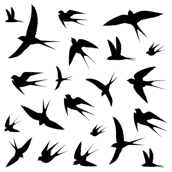 Illustration d'icônes oiseaux — Image vectorielle