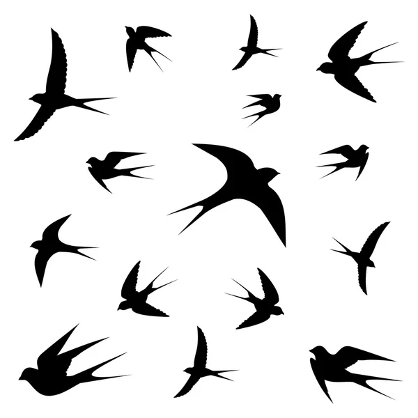 Fåglar vektor på vit bakgrund — Stock vektor