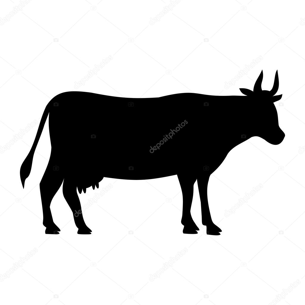 the cow image,vector 