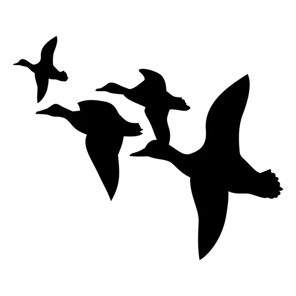 Canards volent vers le sud — Image vectorielle