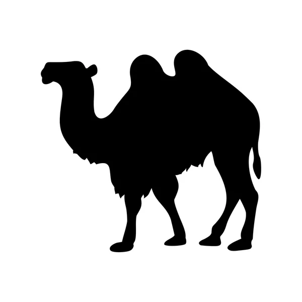 Camel icon on white background — Stock Vector