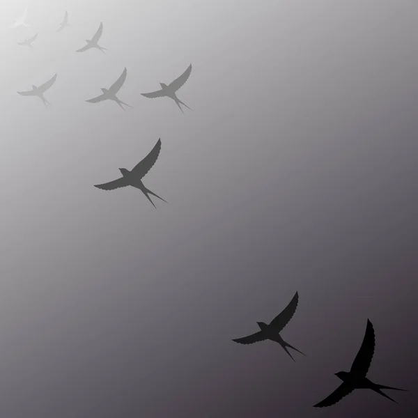 Птицы, улетающие вдаль — стоковый вектор