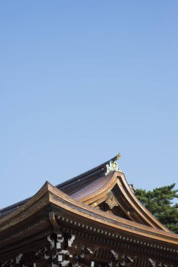 Meiji Tapınağı, Shibuya, Tokyo, Japonya