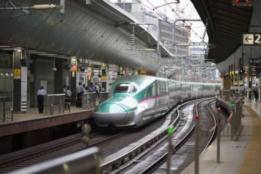 Tokyo, Japonya - 3 Ekim 2016: E5 serisi Shinkansen Tokyo İstasyonu