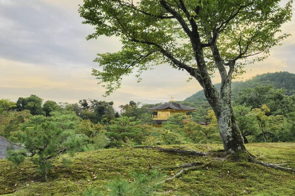 Gün batımında Kinkaku-ji, altın Köşk, Kyoto, Japonya — Stok fotoğraf