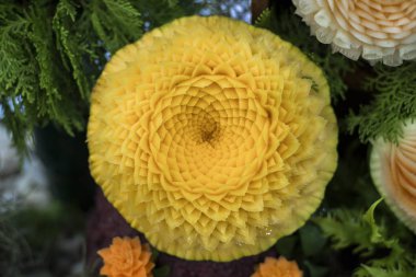 Tay meyve oymacılığı veya gıda garnitür balkabağına üzerinde