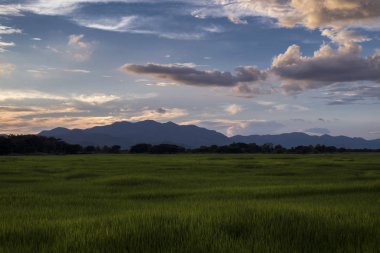 Bir zemin ile pirinç paddies dağlar ve günbatımı gökyüzü, Phayao, Tayland-Phayao ili