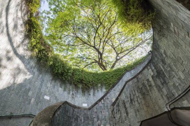 Fort Canning, Singapur, yeraltı geçidi, doğa