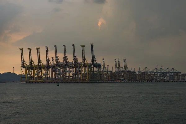 Container kraan Tanjong Pagar laden Dock, Singapore — Stockfoto