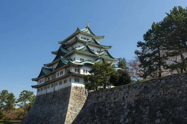 Castillo de Nagoya con árboles de flor de cerezo, Japón — Foto de Stock