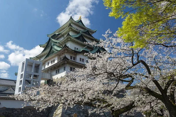 벚꽃 나무가 있는 나고야 성, 일본 — 스톡 사진