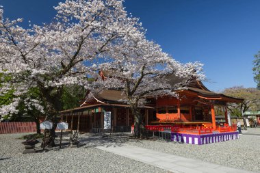 Shizuoka, Japonya - 4 Nisan 2019: Fujisan Hong Sengen Taisha, birçok dağcının Japonya 'nın Fuji Dağı' nın gölet ve manzarasıyla ünlü tarihi Shinto tapınağında durduğu yer.