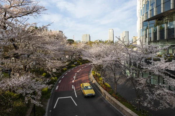 Tokyo Midtown Cherry Blossom Durante Atardecer Con Taxi Carretera — Foto de Stock