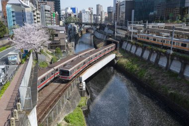 İlkbaharda Japonya, Tokyo 'da tren tüneli olan bir nehirde yüzen Kiraz Çiçeği