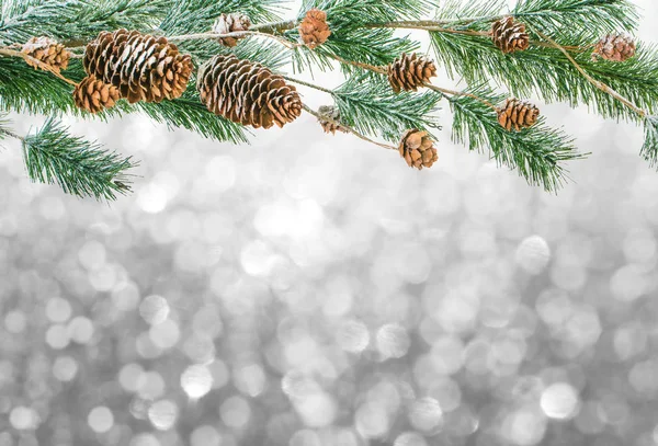 Dekorasi Natal Pada Latar Belakang — Stok Foto