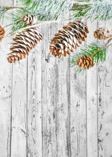 Fundo de Natal com ramos de abeto, pinhas e bagas em — Fotografia de Stock