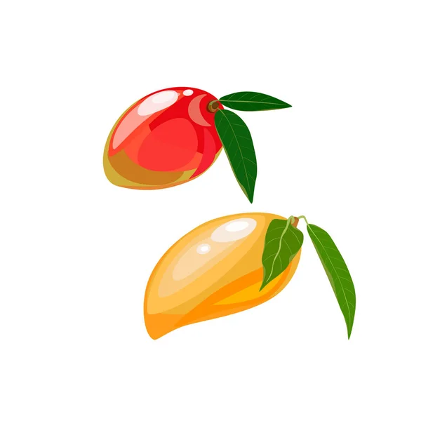 Vektorillustration av tropiska frukter. Mango-ikonen. — Stock vektor