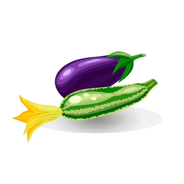 Vegetabiliska set. Vektor illustration logotyp för hela mogna vegetabiliska squash zucchini och aubergine. — Stock vektor