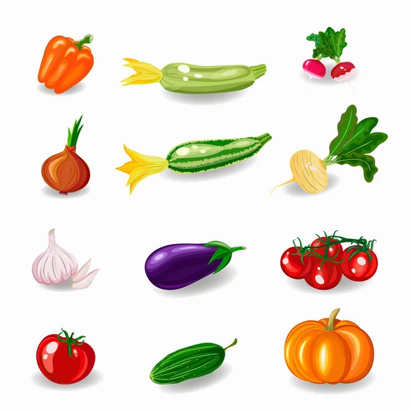 Ställ grönsaker. Platt design. Ekologisk färska grönsaker flat design. — Stock vektor