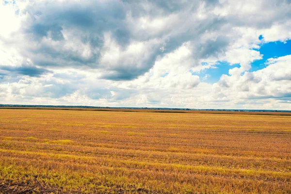 Сільський пейзаж з польовим і небесним горизонтом — стокове фото