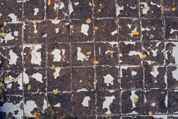 Texture Worn Surface Dry Soil Old Tiles — Stock Photo, Image