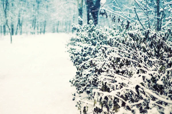 Hermosa textura de invierno. La nieve recién caída. Invierno en la calle. La ruta cubierta de nieve . — Foto de Stock