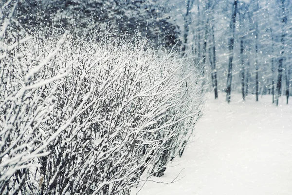 Hermosa Textura Invierno Nieve Recién Caída Invierno Calle Ruta Cubierta — Foto de Stock