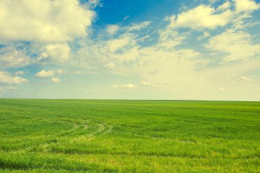Yeşil alan ve mavi gökyüzü bulutlu. Pastoral manzara. Bahar doğa kırsal