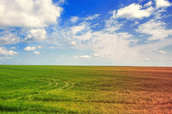 Зміна сезонів на одній фотографії. Зміна клімату. Погодні умови змінюються. Часи року. Польовий і небо пейзаж . — стокове фото