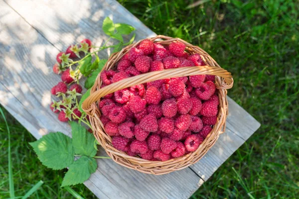 Söta hallon i korg. Hälsosam mat. Frukten är rik på vitaminer och mineraler. — Stockfoto