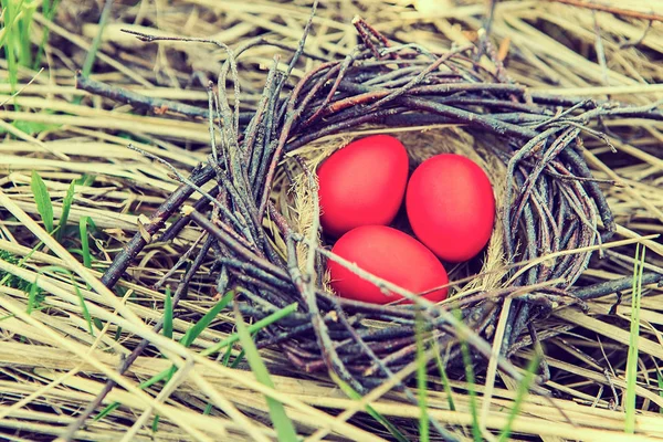 Dekoratív festett tojások a fészekben. Húsvéti tojás. Tavaszi kert dekoráció. — Stock Fotó