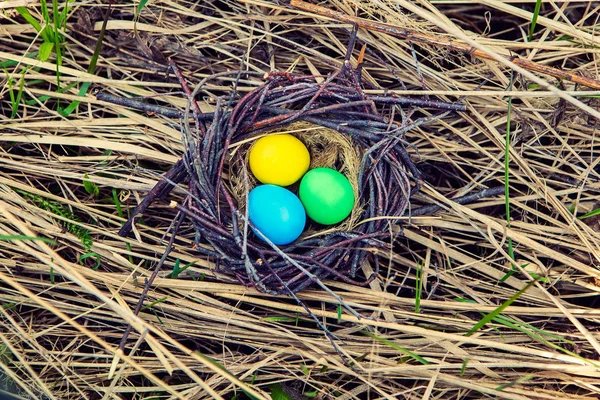 Huevos pintados en el nido. Huevos de Pascua. Decoración jardín primavera . — Foto de Stock