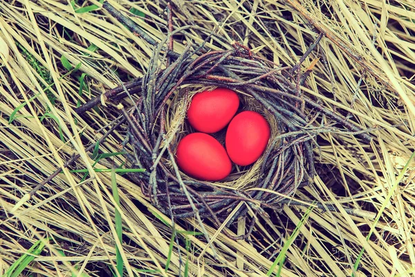 Dekorativ bemalte Eier im Nest. Ostereier. Frühlingsgartendekoration. — Stockfoto