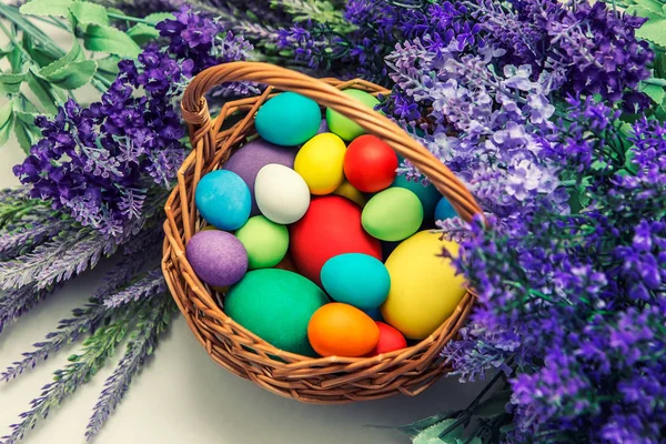 Colorful Easter eggs on bright background. Easter holiday. Multicolored background green, blue, red, yellow and purple colors. — Stock Photo, Image